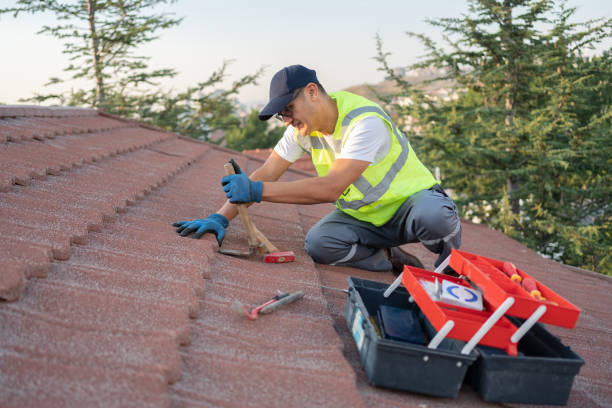 Best Storm Damage Roof Repair  in Guthrie, KY