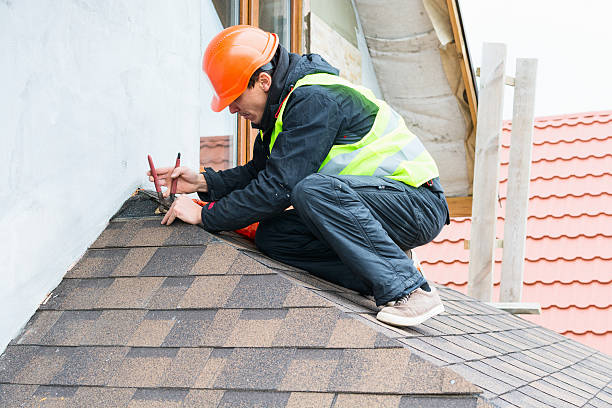 Best Roof Gutter Cleaning  in Guthrie, KY